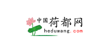 中國(guó)荷都網(wǎng) 中國(guó)荷都網(wǎng)