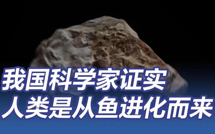 中國科學(xué)家證實人類是從魚進化來的(人類是從魚進化來的是真的嗎)